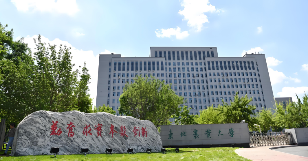 东北农业大学公共管理硕士攻读学位期间科研成果要求