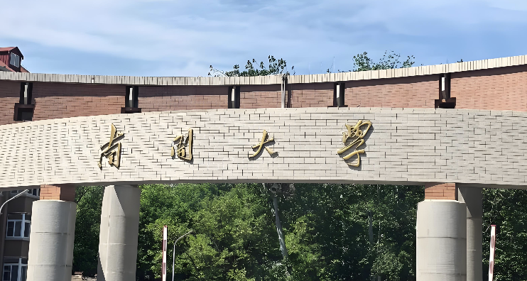 南开大学2026年MLIS招生项目简介