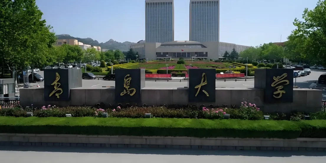 青岛大学26年博士专业学位招生简章